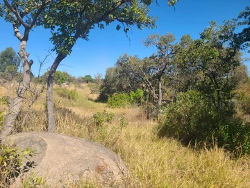 Farm & Agricultural Land