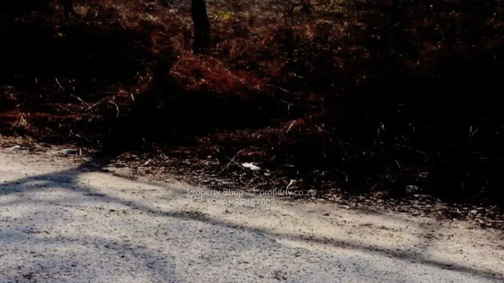 Stands & Residential Land for Sale in Bindura PSP167007