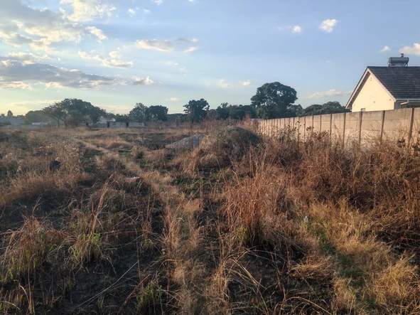 Stands & Residential Land