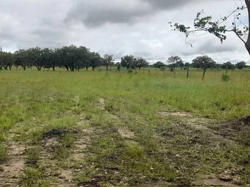 Farm & Agricultural Land