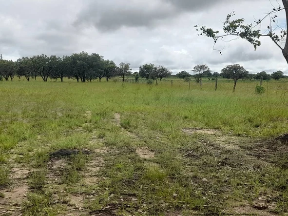 Farm & Agricultural Land