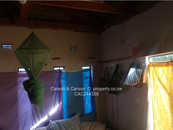 Solid Structure  (Sole Mandate)