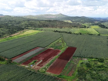 Farm & Agricultural Land