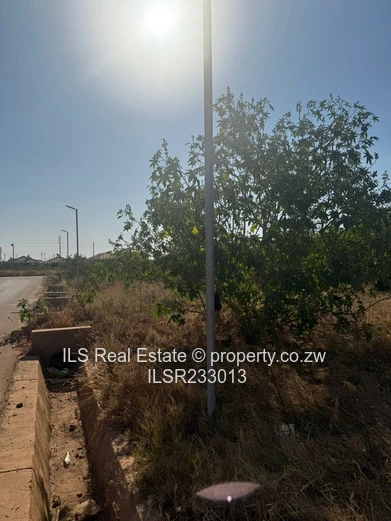 Stand for Sale in a Gated Community