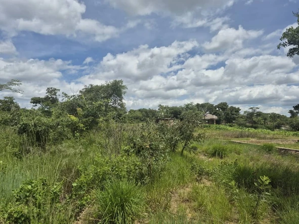 Stands & Residential Land