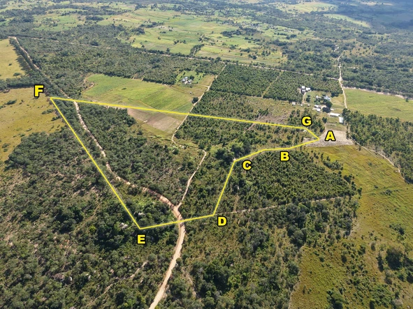 Farm & Agricultural Land