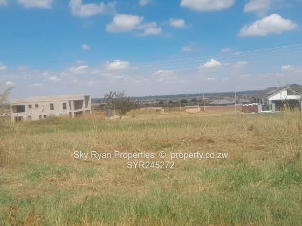 Pomona Nyeredzi Ridge Stand For Sale 