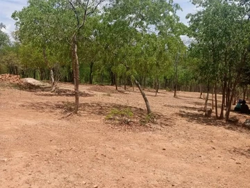 Farm & Agricultural Land