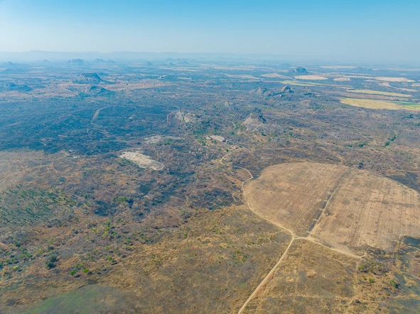 Farm & Agricultural Land