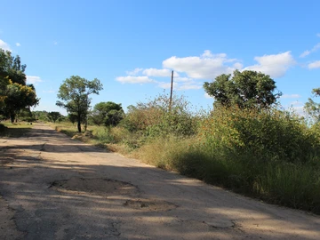 Stands & Residential Land