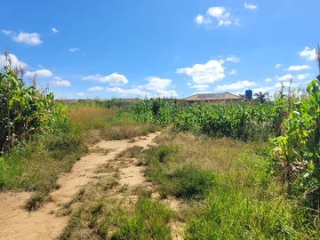 Stands & Residential Land