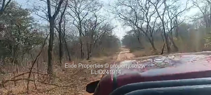 1,130ha Gokwe Farm — Gravel Roads, Grazing & Kraal (Sole Mandate)