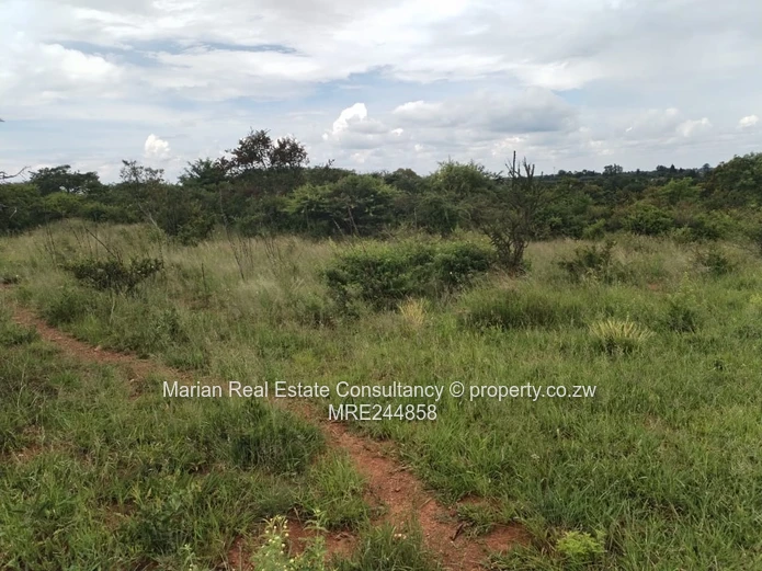 Riverside South Stand For Sale