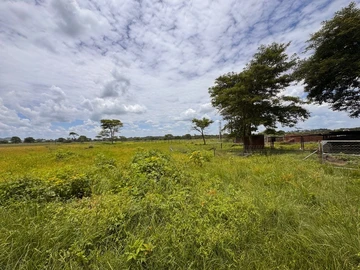 Farm & Agricultural Land