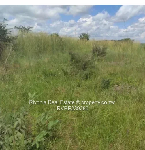 SPITZKOP STAND 2000sqm 25k