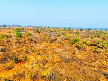 Farm & Agricultural Land