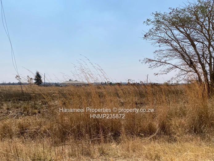 Gweru Lingfield Plots
