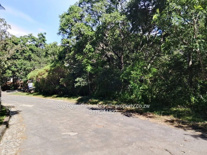 Glen Lorne  Stand For Sale