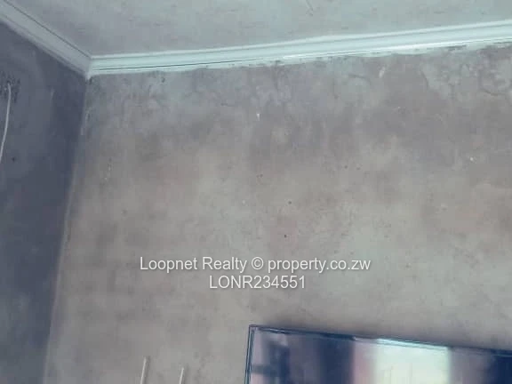 1650m² Marlborough Stand with Brick Cottage & Services