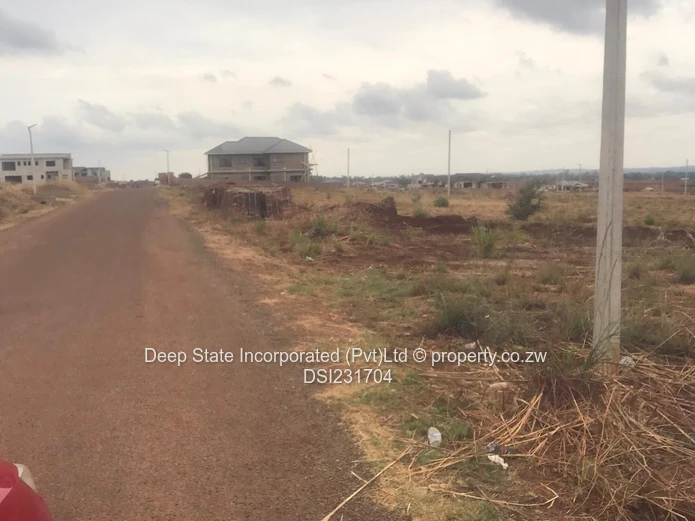 Nyeredzi stand for sale 