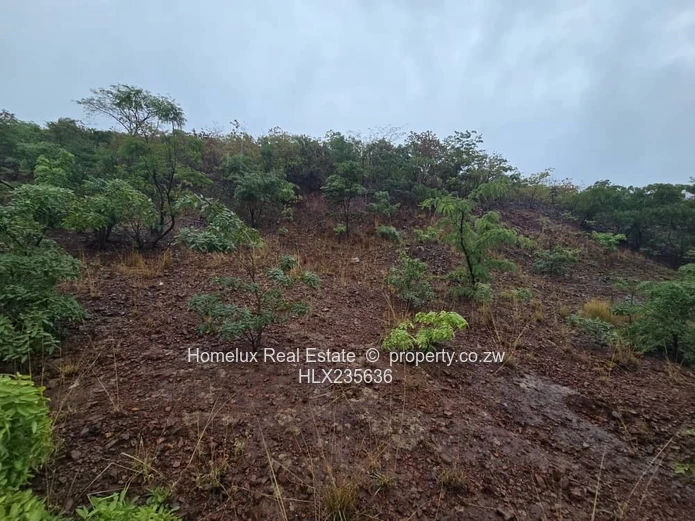 Prime Residential Stand in Westwood, Kambuzuma.  