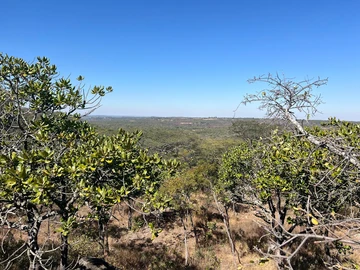 Farm & Agricultural Land