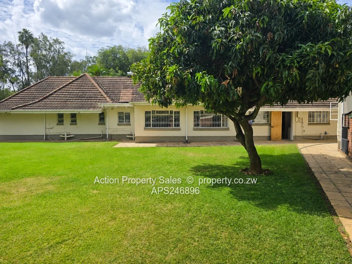 Lovely Fully Furnished House! 