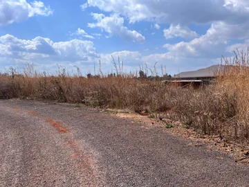Stands & Residential Land