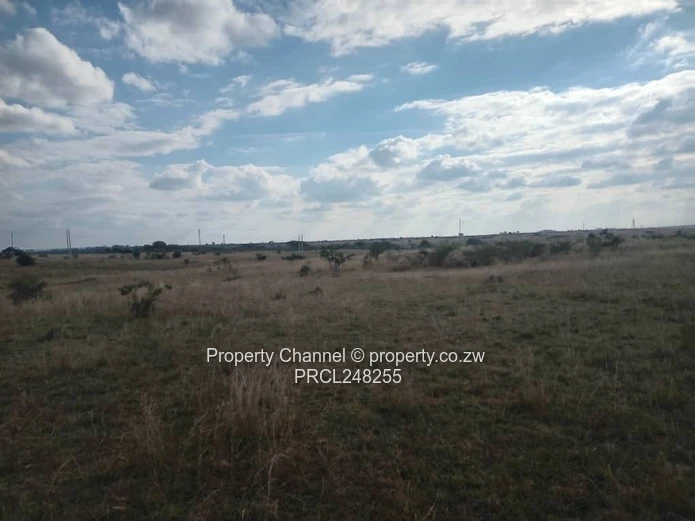 5,000 sqm Level Plot in 8km west of Gweru CBD — Open Grass, Adjacent Walled Property