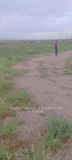 An opportunity not to miss