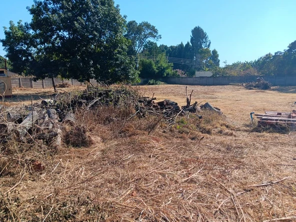 Stands & Residential Land