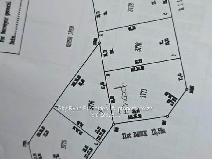 Mabelreign Stands For Sale