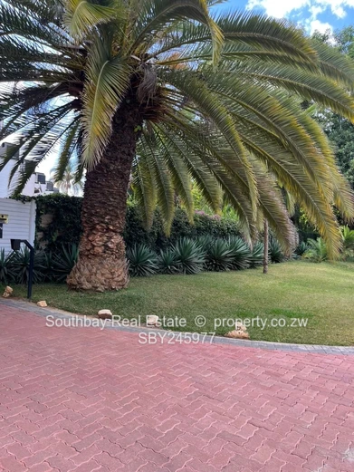 Charming Flat for Sale- Spacious and well Appointed. (Sole Mandate)