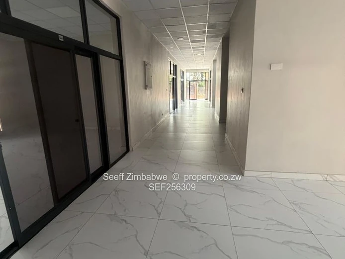 Compact Specialist & Diagnostic Suite (31 sqm)