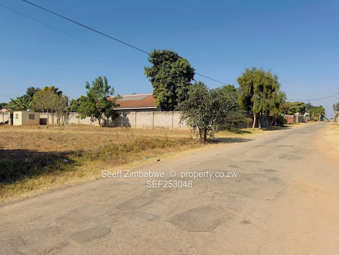 Generous Size Stand with 2-Bed Cottage, Zimre Park