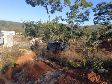 Land
