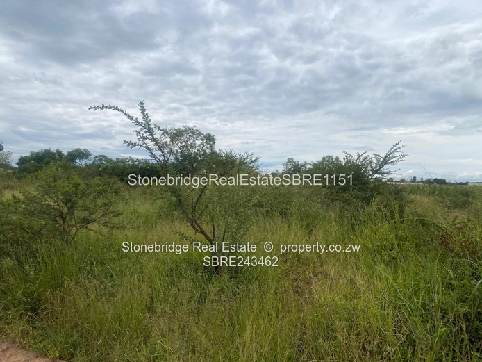 4 Acres Stand in Woodville Park for sale