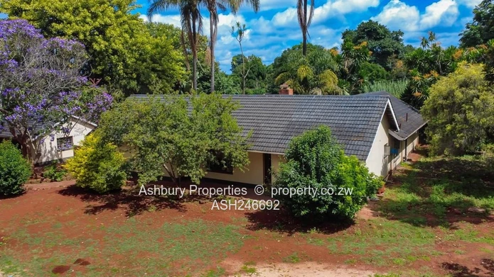Renovators Dream Opportunity!!