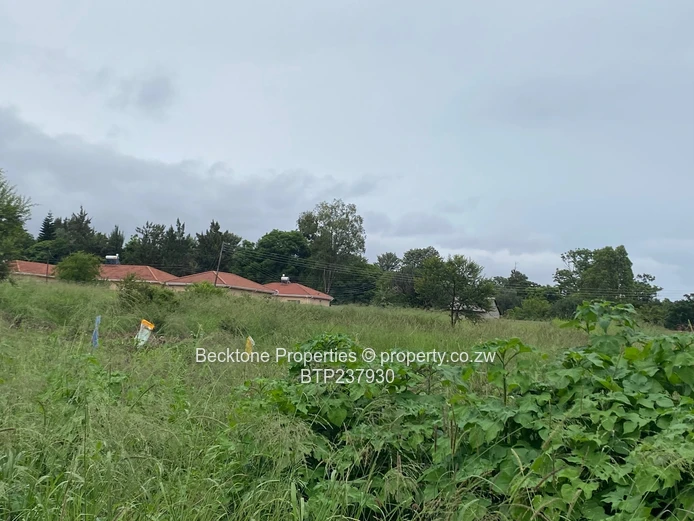 Matsheumhlophe stand for sale 