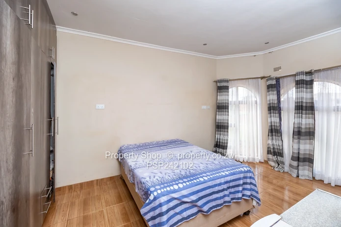 Endless Possibilities In Glaudina