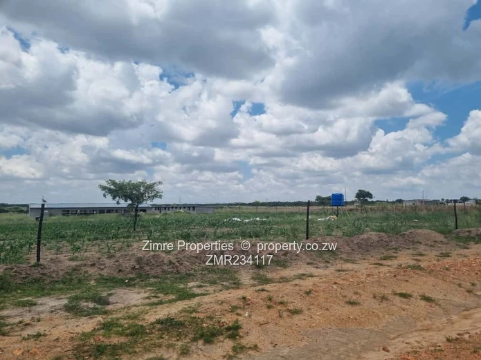 Tree Top Gweru After Toll Gate