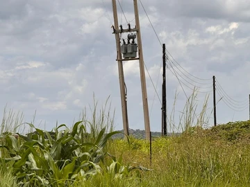 Farm & Agricultural Land