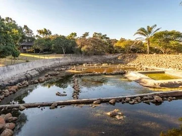 Farm & Agricultural Land