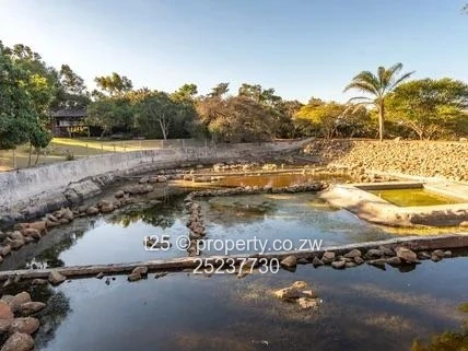 Ruwa Agri-Residential plot for Sale