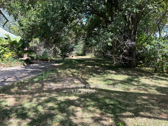 Solid home in Athlone (Sole Mandate)