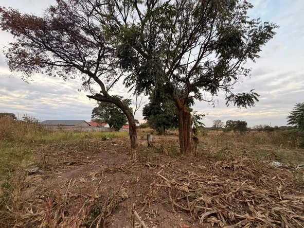 Stands & Residential Land