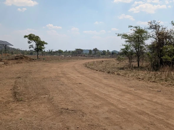 Farm & Agricultural Land