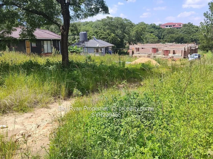 Borrowdale, Carrick Creagh Estate Stand For Sale