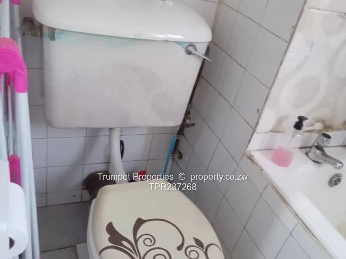 Cozy 1-Bed Tiled Flat in Avenues, Harare CBD