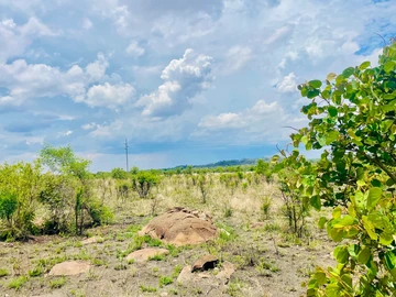 Farm & Agricultural Land